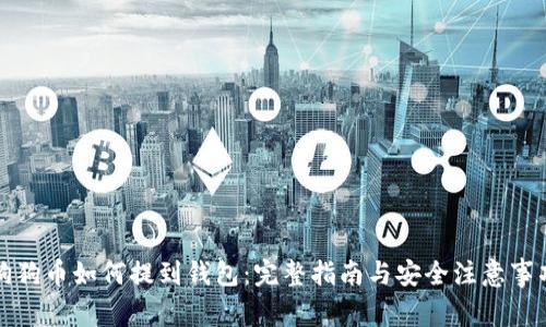 狗狗币如何提到钱包：完整指南与安全注意事项