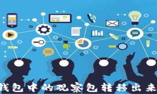 
如何将TP钱包中的观察包转移出来：完整指南