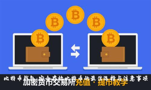 比特币钱包：安全存放比特币的最佳选择与注意事项