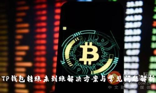 TP钱包转账未到账解决方案与常见问题解析